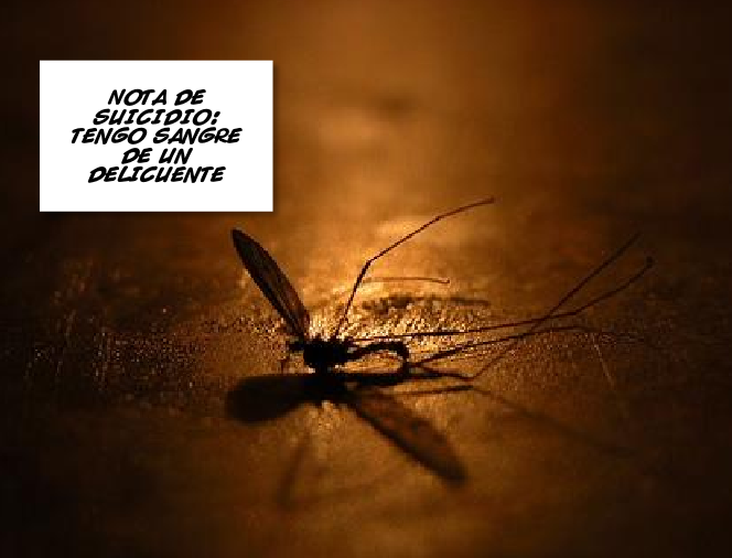 mosquito3