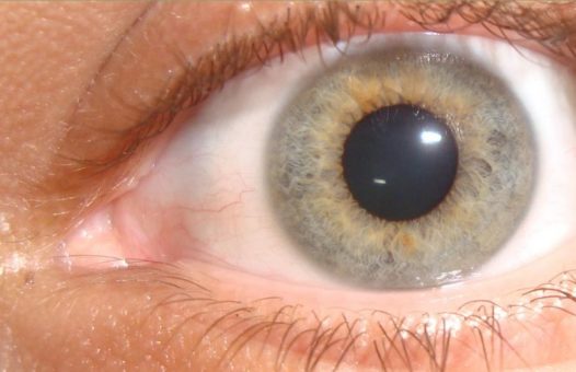 Ocho curiosidades sobre los ojos 15